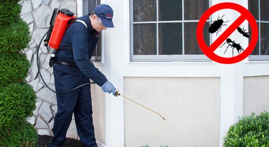 Oltu Gümüşkurt İlaçlama böcek ilaçlama ve haşere kontrolü — ilaclama-tr.com